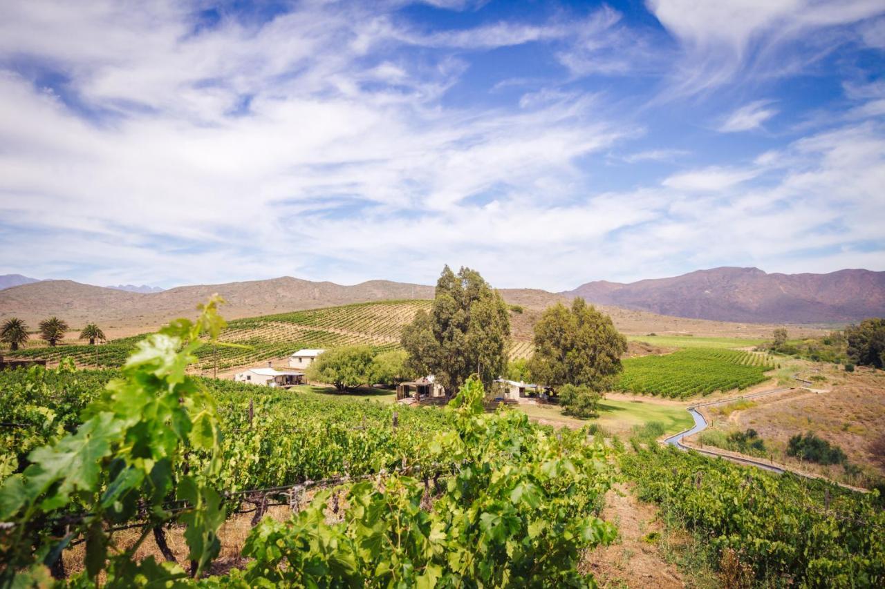Arendsig Wine Estate & Cottages Боннивейл Экстерьер фото