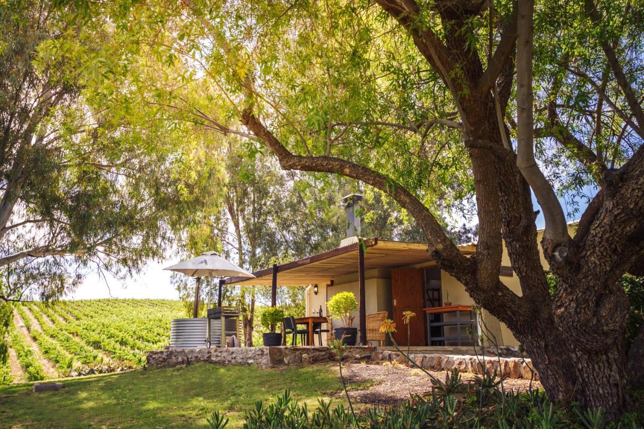 Arendsig Wine Estate & Cottages Боннивейл Экстерьер фото