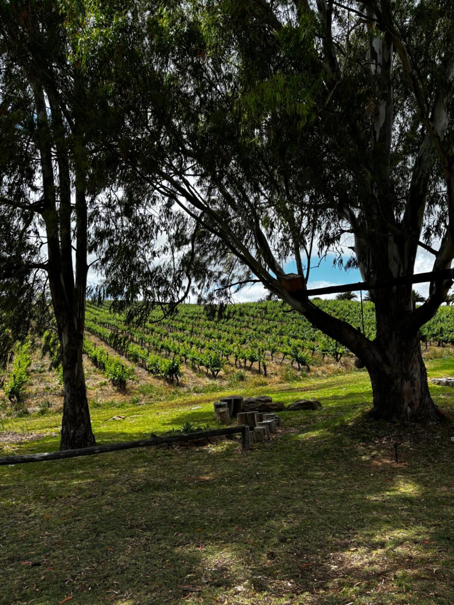 Arendsig Wine Estate & Cottages Боннивейл Экстерьер фото