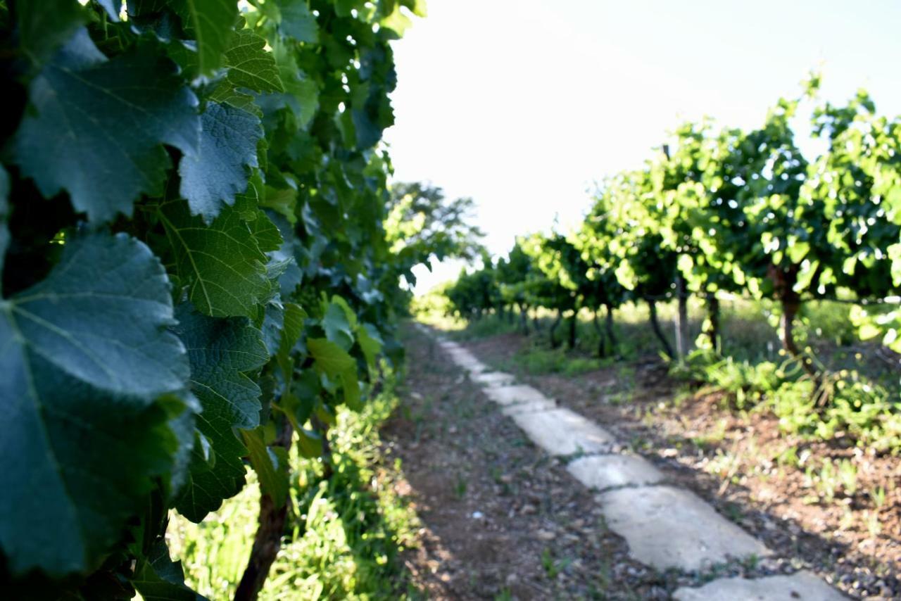 Arendsig Wine Estate & Cottages Боннивейл Экстерьер фото